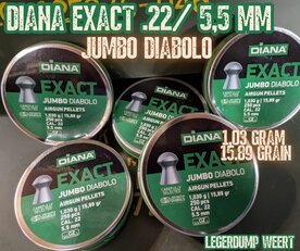 Diana Exact Jumbo Diabolo 5,5 mm (