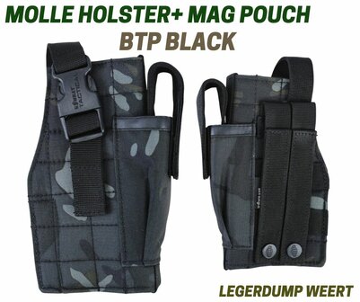 holster 