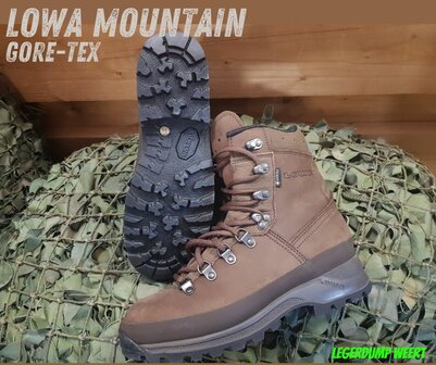 Lowa Mountain Gore-Tex&nbsp;bruin