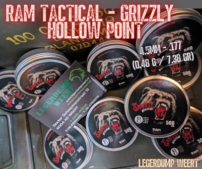 HOLLOW POINT