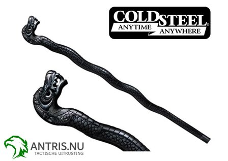 wandelstok