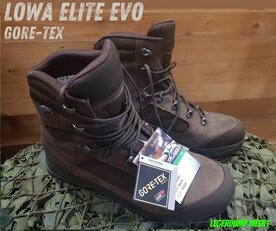 Lowa Elite Evo  Gore-Tex bruin 
