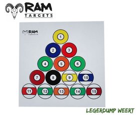 Ram schietkaarten Biljartbal 14x14 cm 